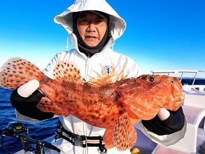 オニカサゴ