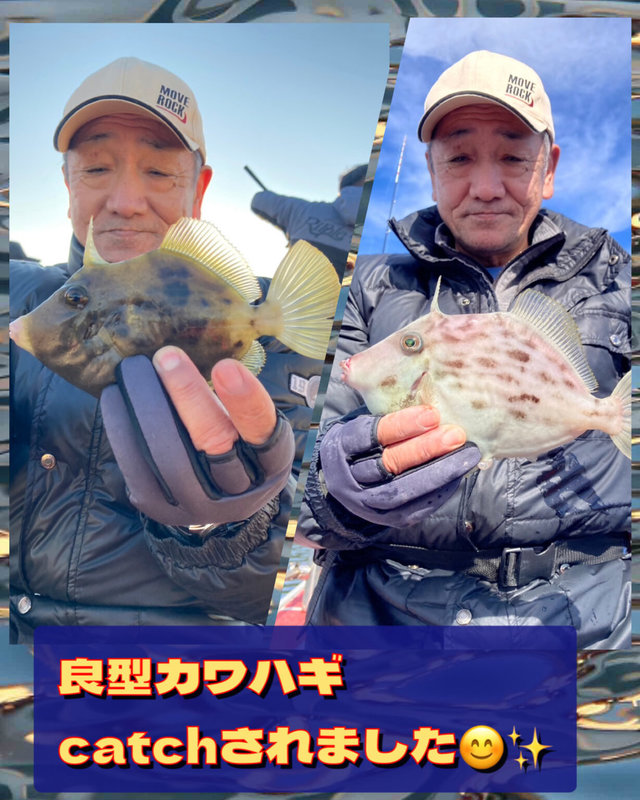 カワハギ