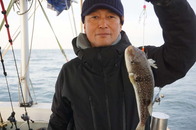 ショウサイフグ
