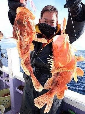オニカサゴ