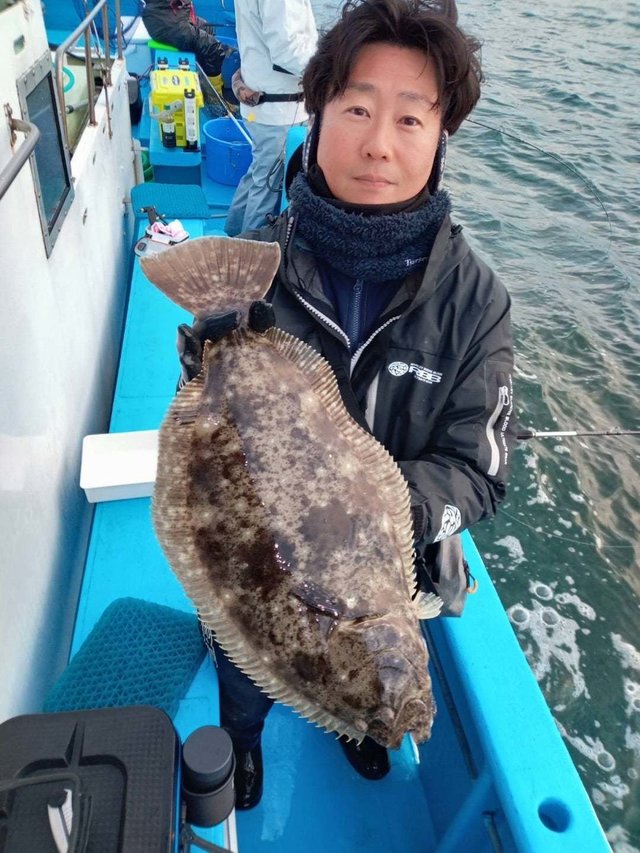 ヒラメ