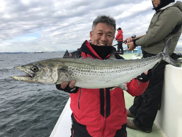サワラ