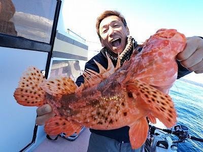 オニカサゴ