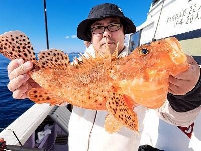 オニカサゴ