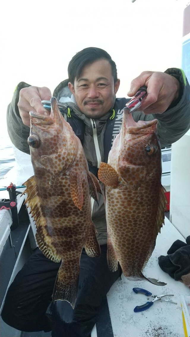 オオモンハタ