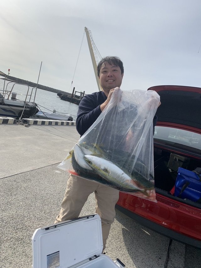 ハマチ(ブリ)