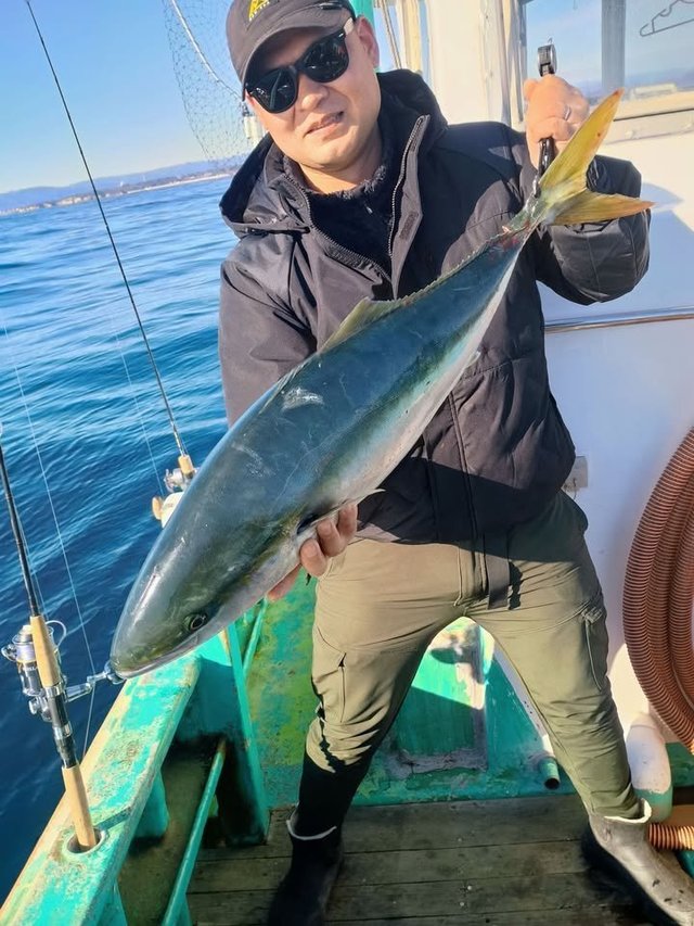 ヒラマサ