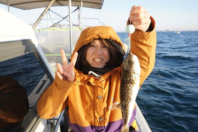 ショウサイフグ