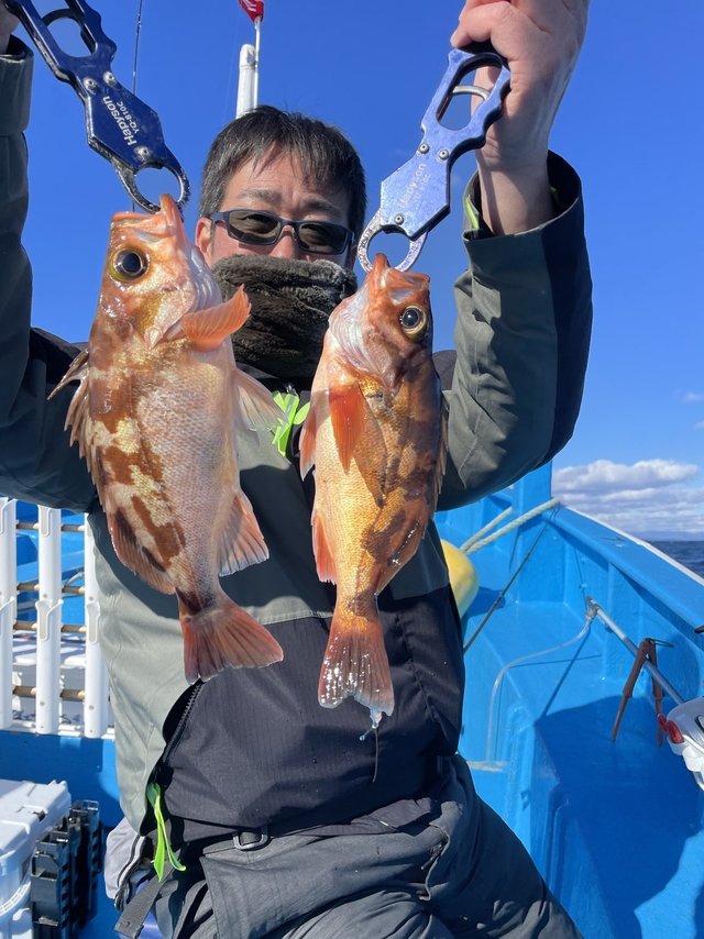 メバル