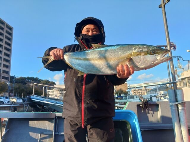 ヒラマサ