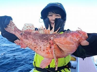 オニカサゴ