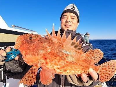 オニカサゴ