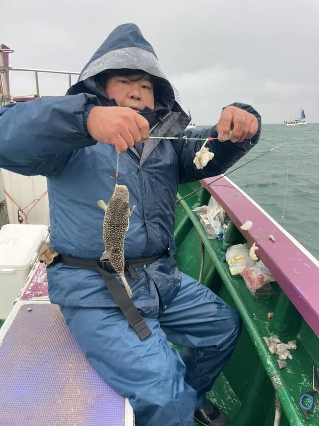 ショウサイフグ