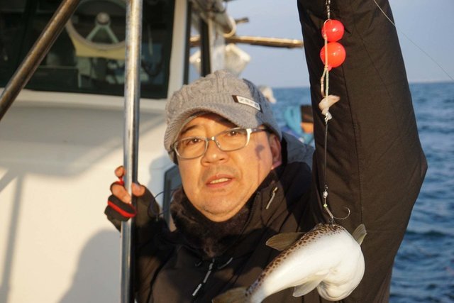 ショウサイフグ