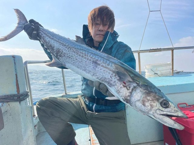 サワラ