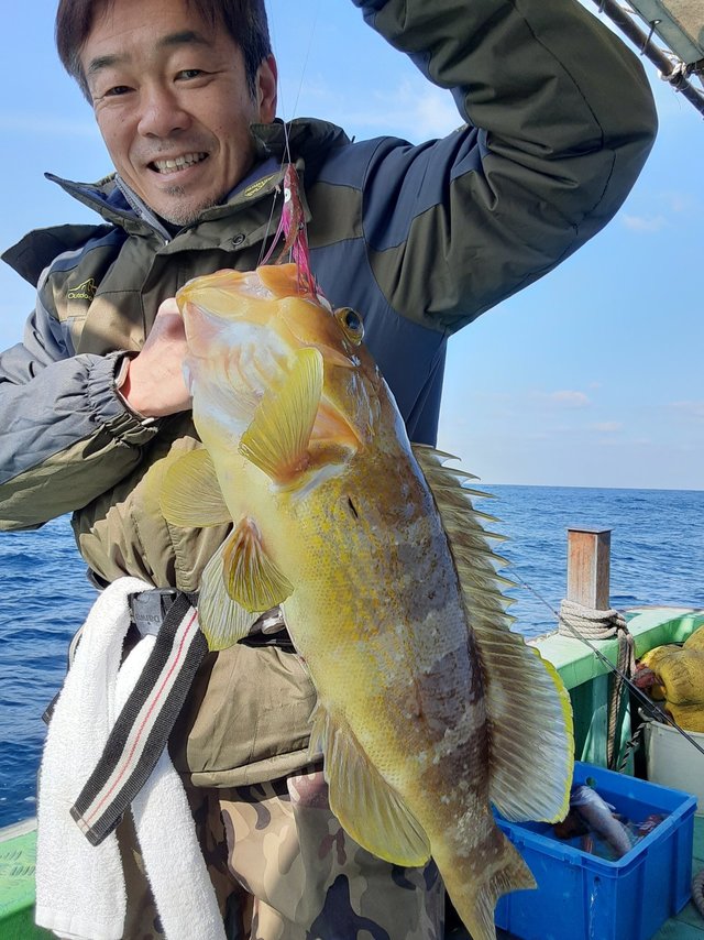 アオハタ
