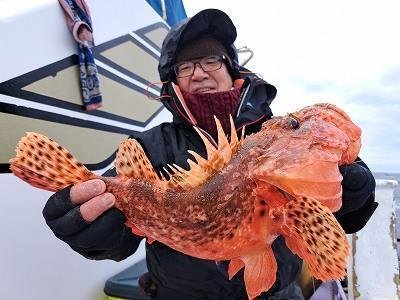 オニカサゴ