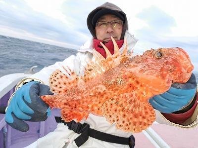 オニカサゴ