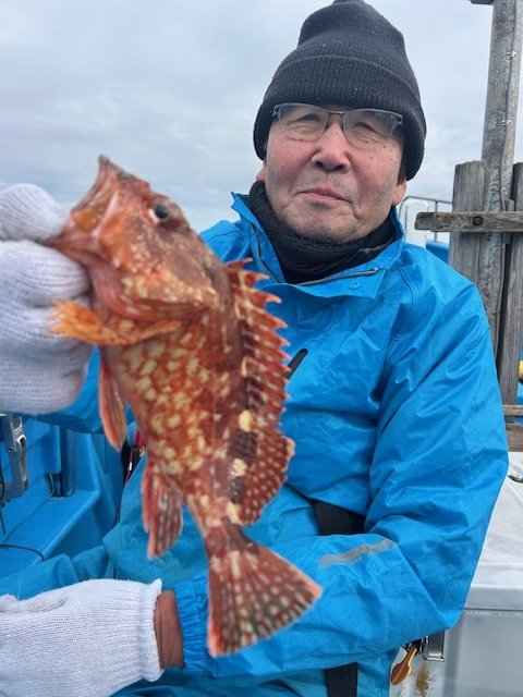 オニカサゴ