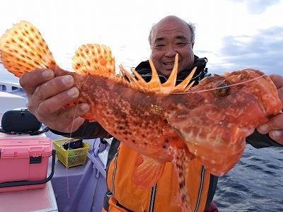 オニカサゴ