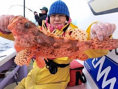 オニカサゴ