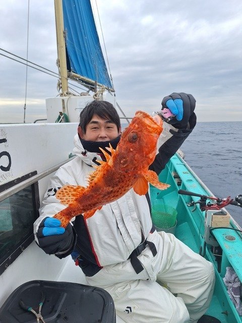 オニカサゴ