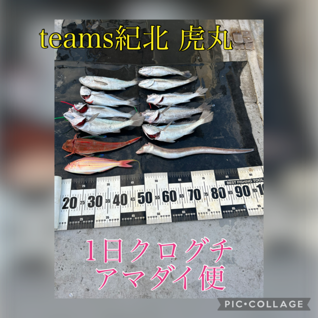 イトヨリ(イトヨリダイ)・ホウボウ・アナゴ(マアナゴ)・クログチ