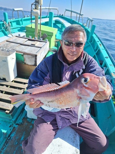 アマダイ(アカアマダイ)