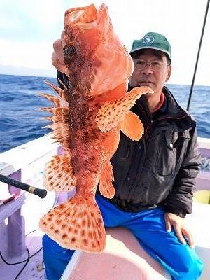 オニカサゴ