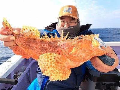 オニカサゴ