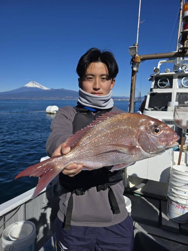 マダイ