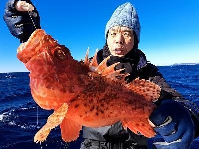 オニカサゴ