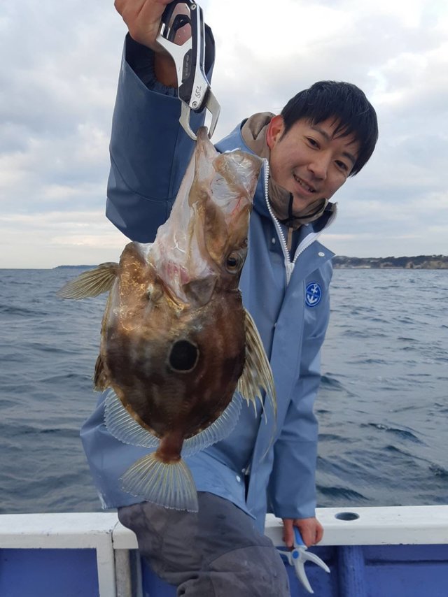 マトウダイ