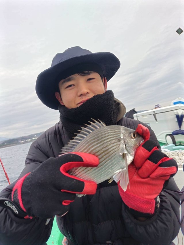 ヘダイ
