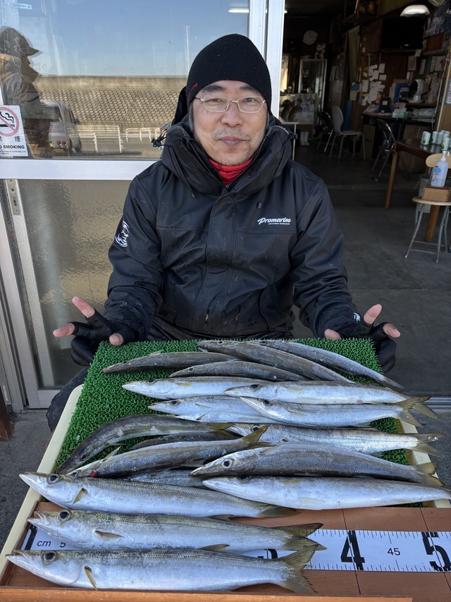 カマス(アカカマス)