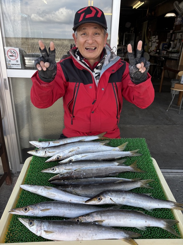 カマス(アカカマス)