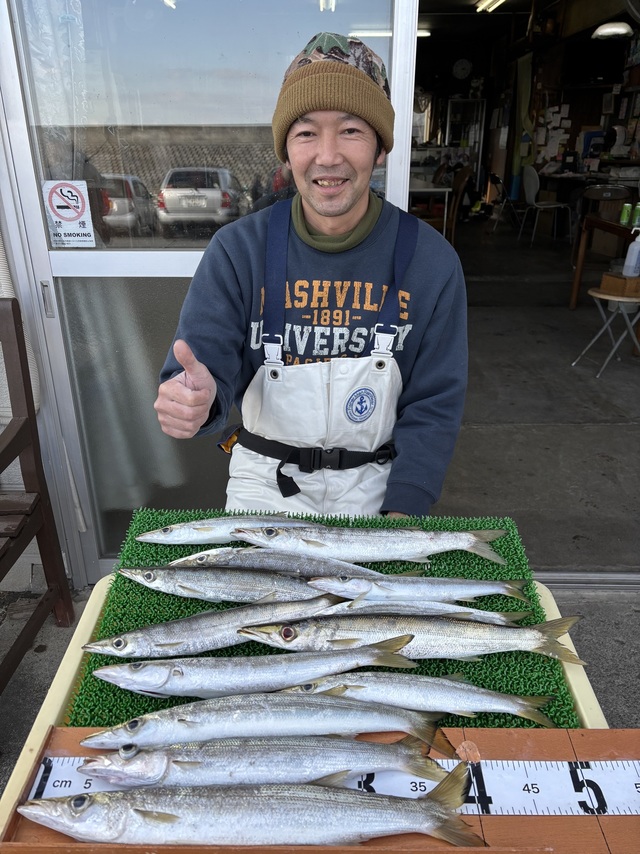 カマス(アカカマス)
