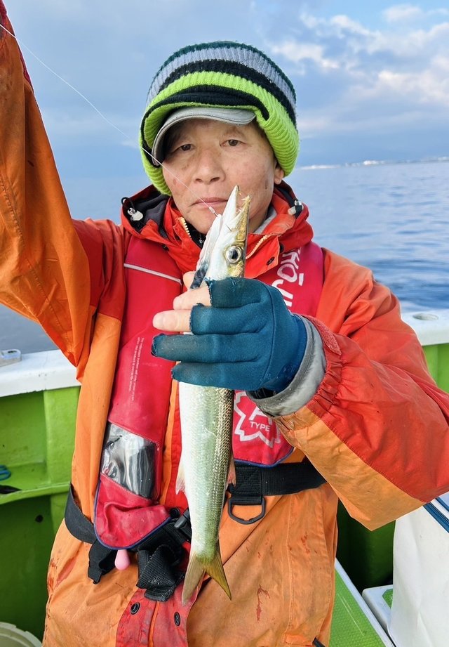 カマス(アカカマス)