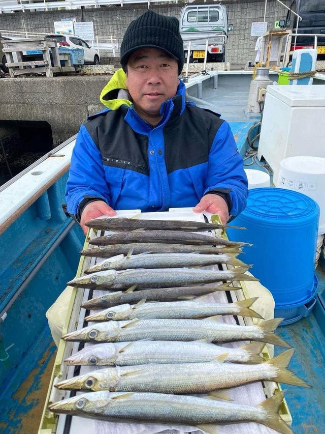 カマス(アカカマス)