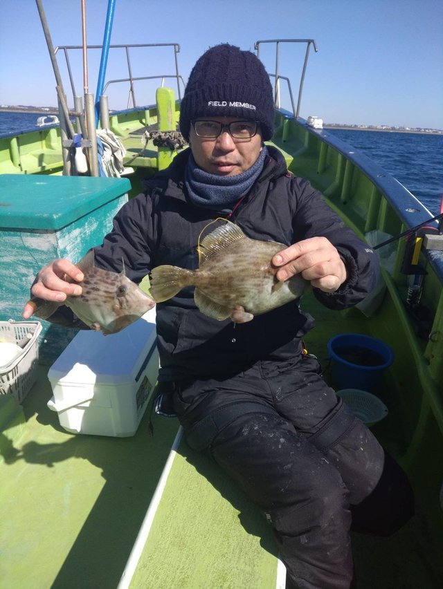 カワハギ