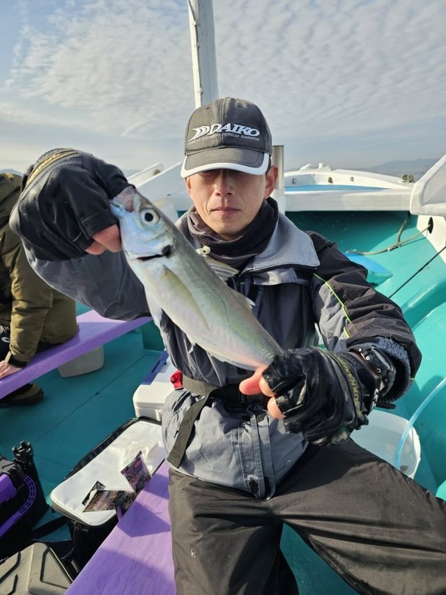 アジ(マアジ)