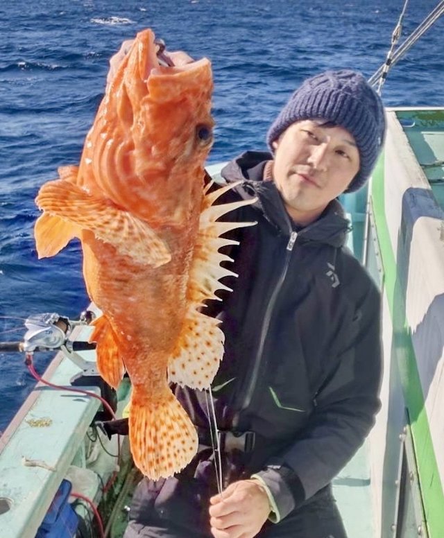 オニカサゴ