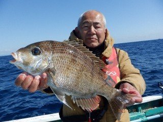 メイチダイ