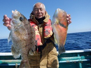 メイチダイ・イラ