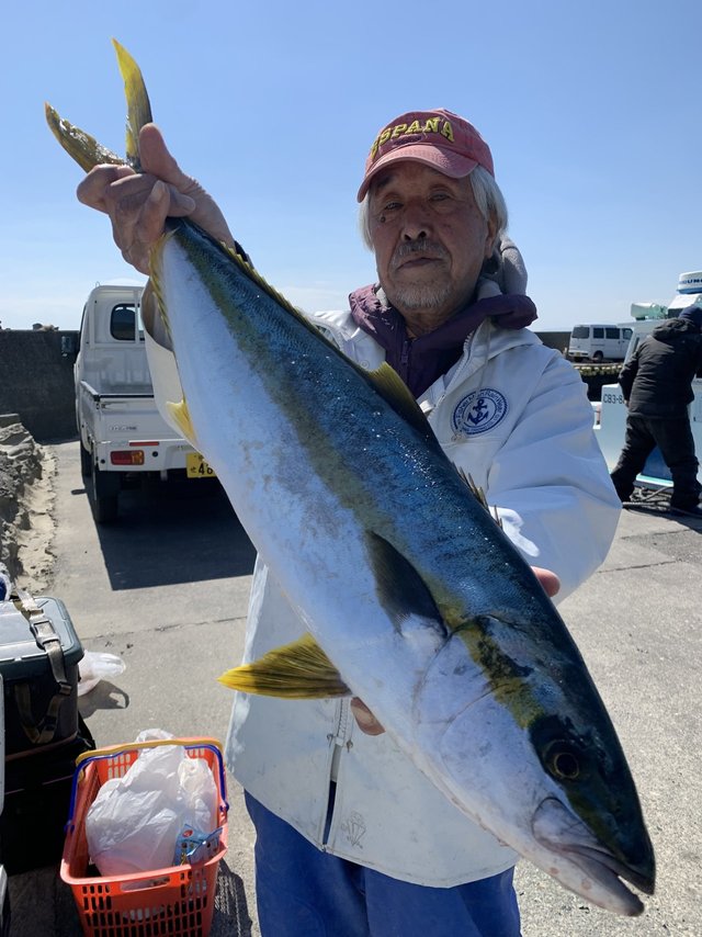 ヒラマサ