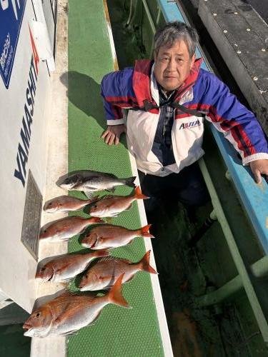マダイ・クロダイ