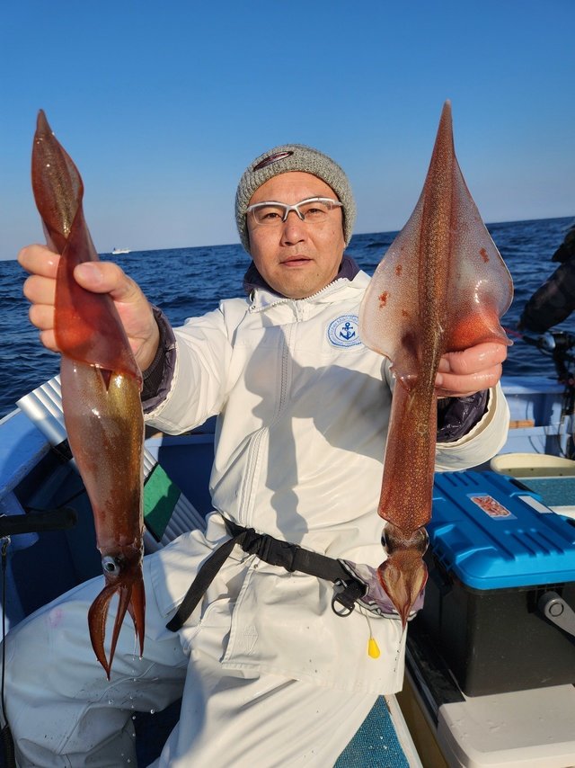 ヤリイカ