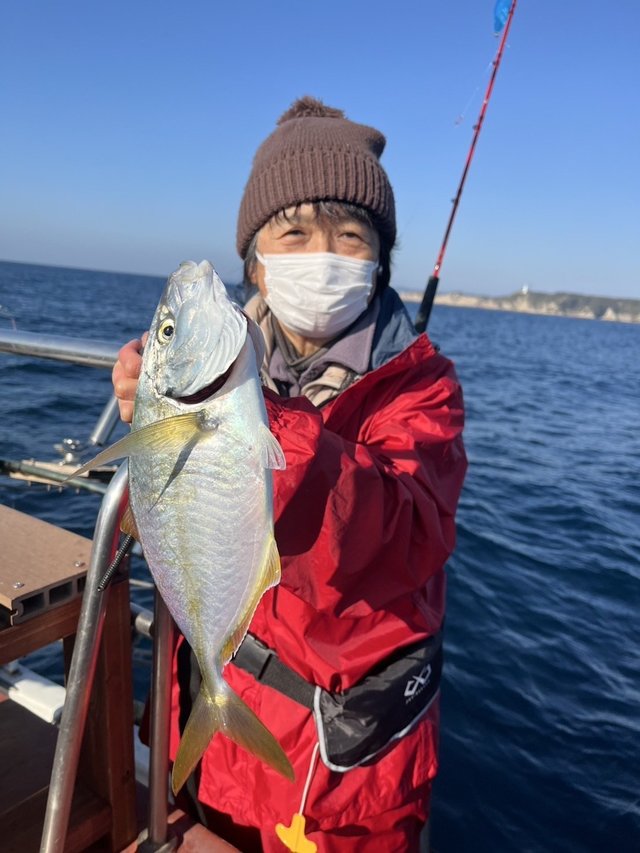 シマアジ