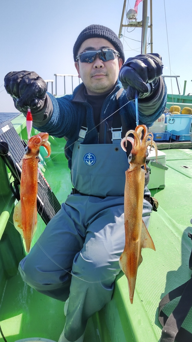 ヤリイカ