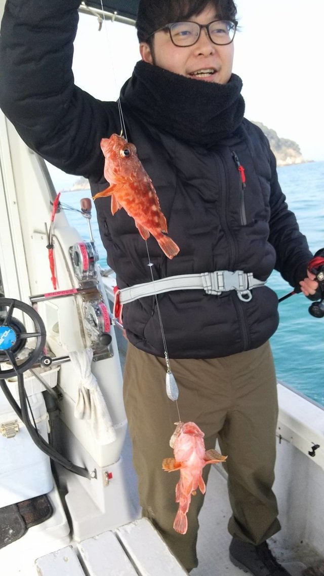 カサゴ